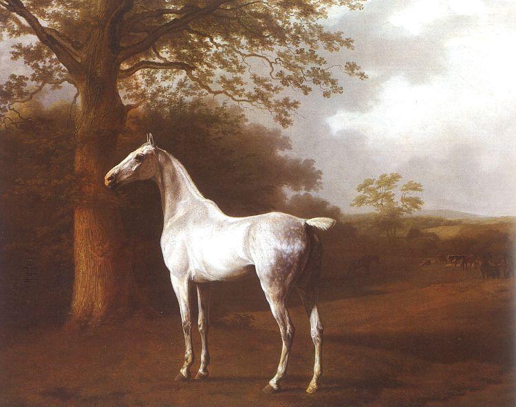 Jacques-Laurent Agasse White Horse in Pasture Germany oil painting art